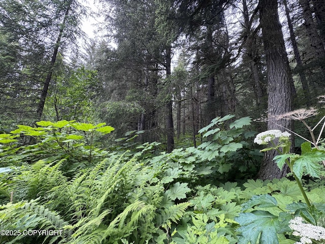 33360 Nash Rd, Seward, AK 99664