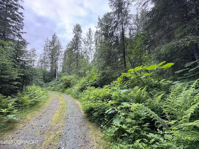 33360 Nash Rd, Seward, AK 99664