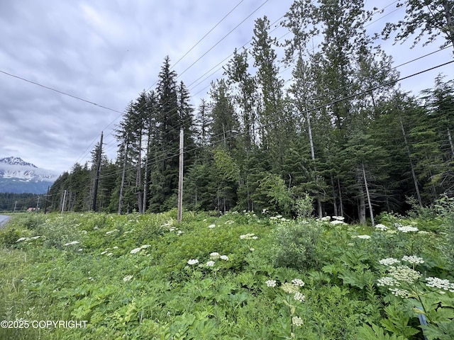 33360 Nash Rd, Seward, AK 99664