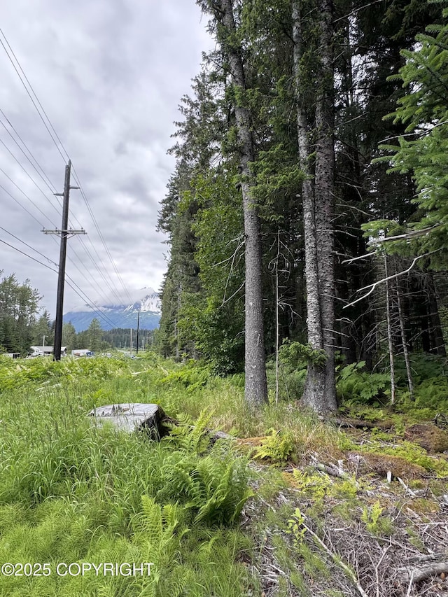 33360 Nash Rd, Seward, AK 99664