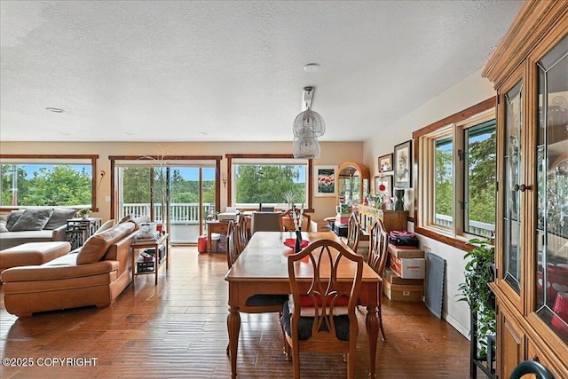 35485 Bluff Ct, Sterling, AK 99672 - dining room featuring hardwood / wood-style floors and a textured ceiling