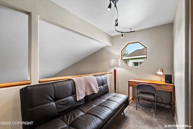 5170 Merle Cir, Anchorage, AK 99507 - carpeted office space with lofted ceiling and track lighting