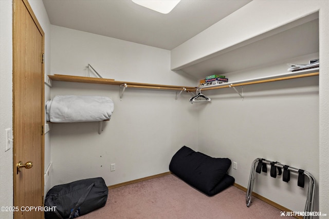 5170 Merle Cir, Anchorage, AK 99507 - walk in closet with carpet floors