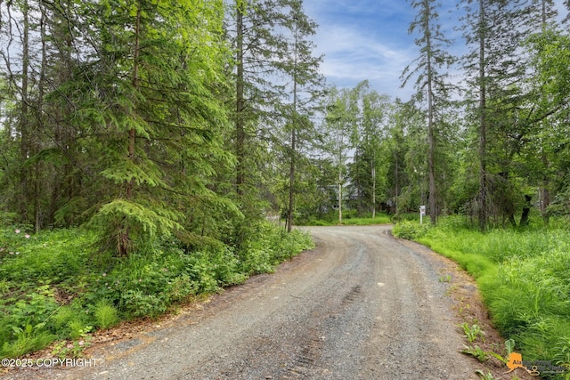 9601 Carlson Rd, Anchorage, AK 99507 - view of dirt / gravel road featuring a forest view
