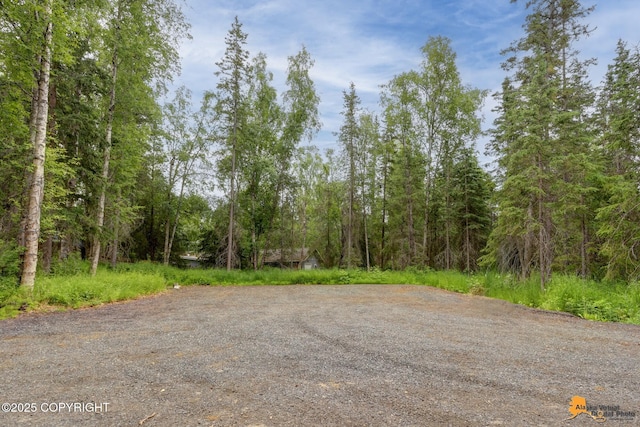 9601 Carlson Rd, Anchorage, AK 99507 - view of wooded area