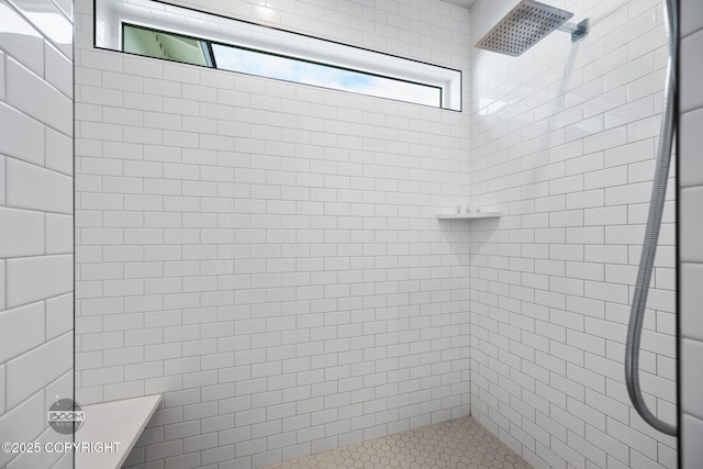 3200 E Woodruff Loop, Wasilla, AK 99654 - bathroom with tiled shower