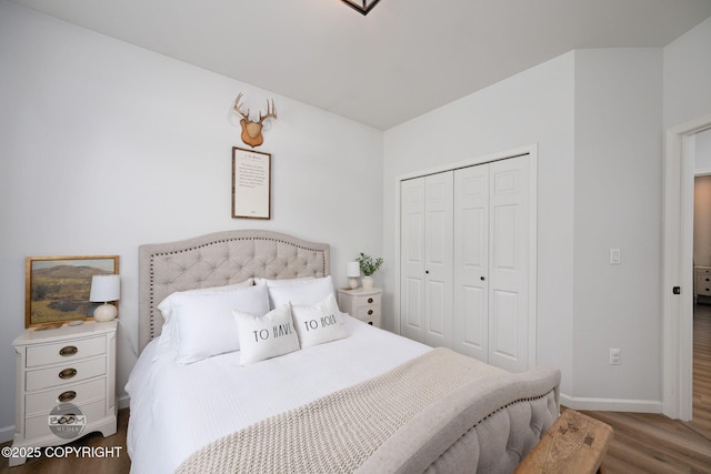 3200 E Woodruff Loop, Wasilla, AK 99654 - bedroom with wood finished floors and a closet