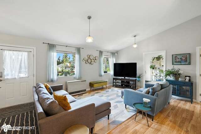 196 W Fairview Ave, Homer, AK 99603 - living area with light wood-type flooring and vaulted ceiling