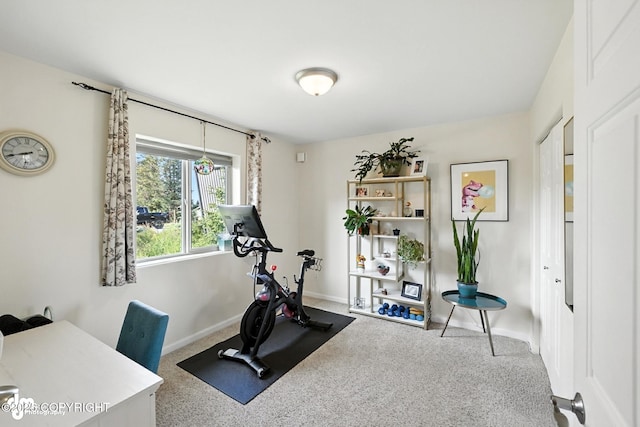 196 W Fairview Ave, Homer, AK 99603 - workout room with baseboards and carpet