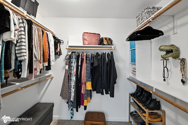 196 W Fairview Ave, Homer, AK 99603 - walk in closet with carpet