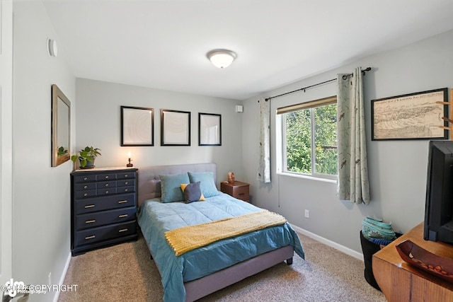 196 W Fairview Ave, Homer, AK 99603 - carpeted bedroom with baseboards
