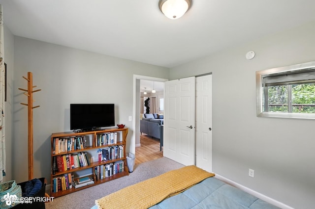 196 W Fairview Ave, Homer, AK 99603 - carpeted bedroom featuring baseboards and a closet