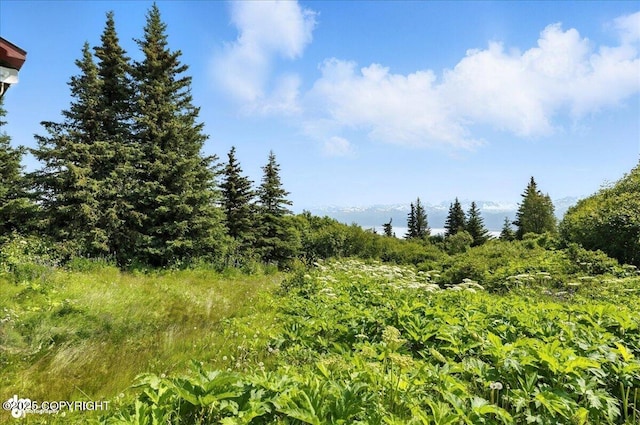 34955 Lowbush St, Homer, AK 99603 - photo 31