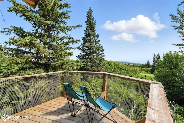 34955 Lowbush St, Homer, AK 99603 - photo 39