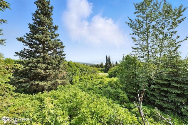 34955 Lowbush St, Homer, AK 99603 - photo 44