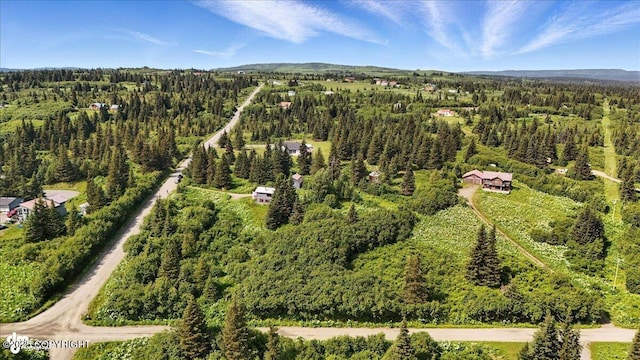 34955 Lowbush St, Homer, AK 99603 - photo 49