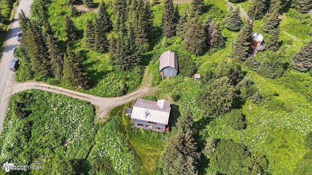 34955 Lowbush St, Homer, AK 99603 - photo 50