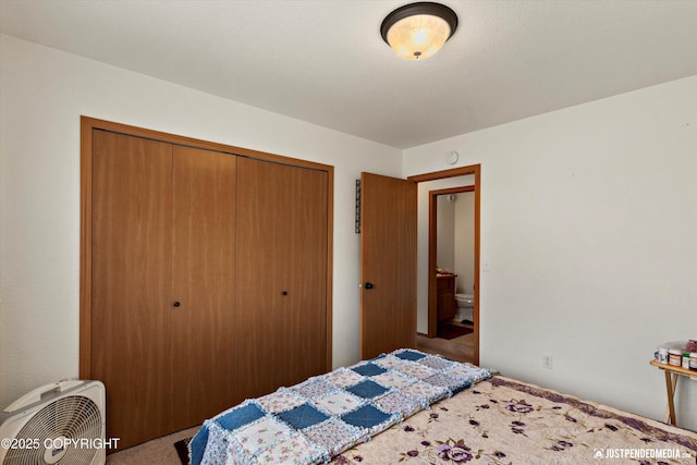 13693 E Guernsey Ln, Palmer, AK 99645 - bedroom featuring carpet flooring and a closet
