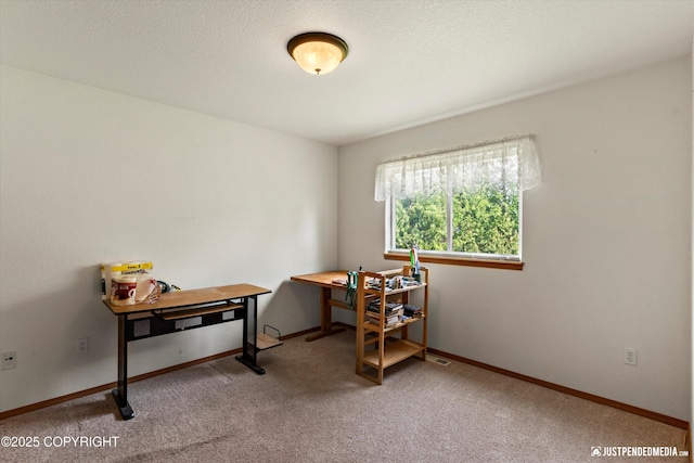 13693 E Guernsey Ln, Palmer, AK 99645 - carpeted home office featuring baseboards