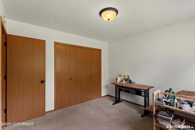 13693 E Guernsey Ln, Palmer, AK 99645 - carpeted foyer entrance with baseboards