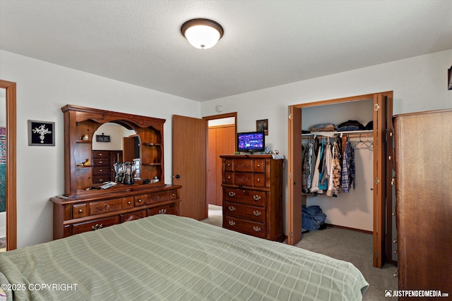 13693 E Guernsey Ln, Palmer, AK 99645 - bedroom featuring carpet flooring, a closet, and a spacious closet