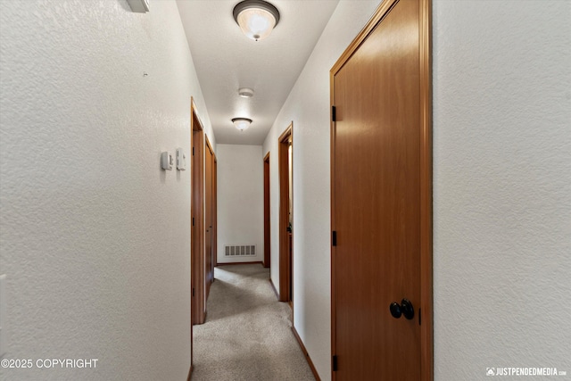 13693 E Guernsey Ln, Palmer, AK 99645 - hall with a textured wall and carpet flooring