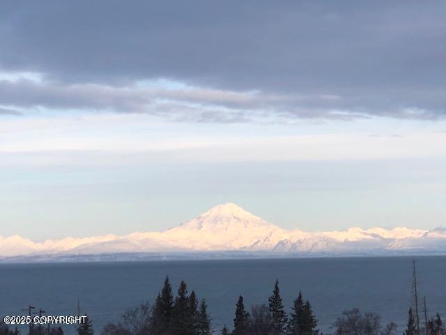 17751 Arcturus Loop, Ninilchik, AK 99639 - water view