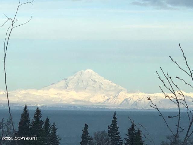 17751 Arcturus Loop, Ninilchik, AK 99639 - water view featuring a mountain backdrop