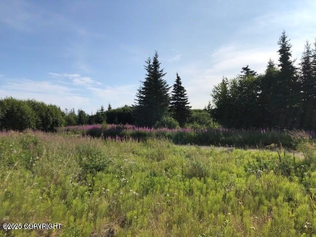 17751 Arcturus Loop, Ninilchik, AK 99639 - view of local wilderness