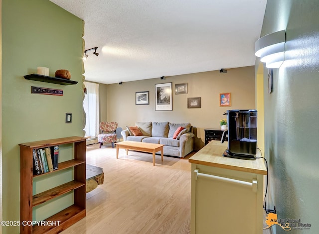 4023 Apollo Dr, Anchorage, AK 99504 - living area featuring light wood finished floors and rail lighting