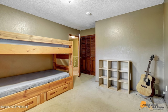 4023 Apollo Dr, Anchorage, AK 99504 - bedroom with carpet floors, a textured wall, a textured ceiling, and a closet
