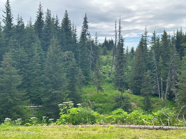 5705 Felix Cir, Homer, AK 99603 - view of wooded area