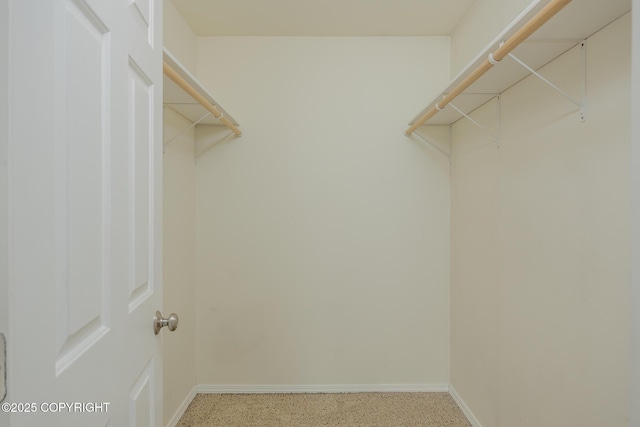 1250 Toolik Dr, North Pole, AK 99705 - view of walk in closet