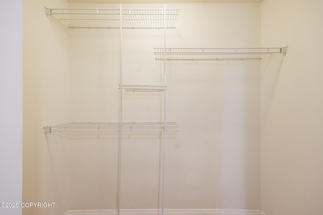 1250 Toolik Dr, North Pole, AK 99705 - view of walk in closet