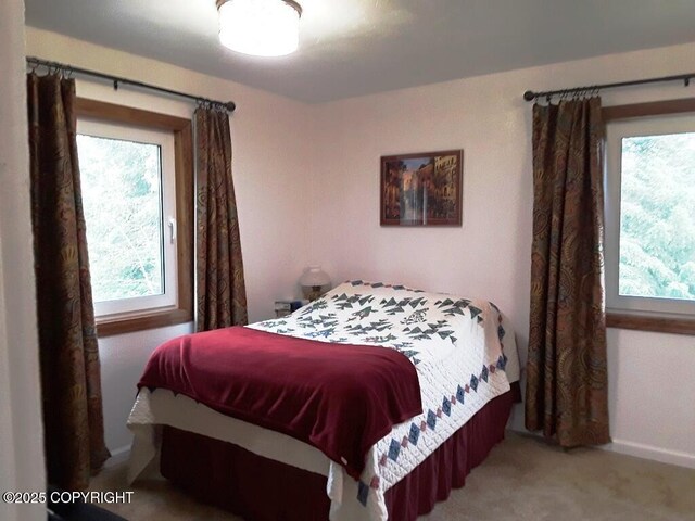 1630 Garden Park Dr, Homer, AK 99603 - photo 22