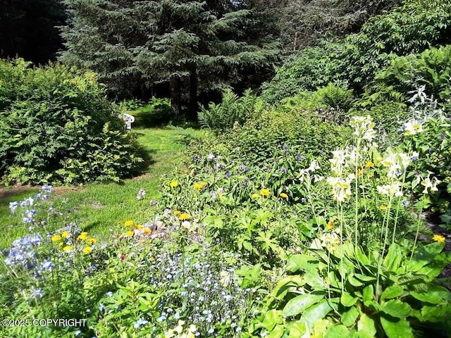 1630 Garden Park Dr, Homer, AK 99603 - photo 31