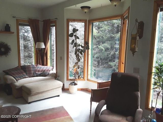 1630 Garden Park Dr, Homer, AK 99603 - photo 8