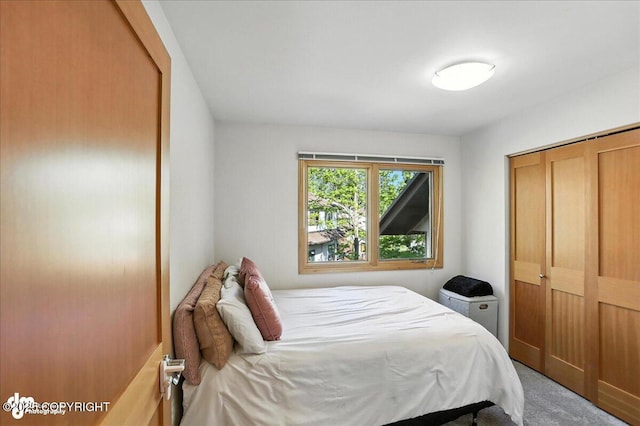6712 Lunar Dr # K2, Anchorage, AK 99504 - carpeted bedroom featuring a closet