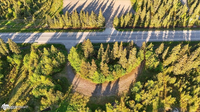 33135 Sterling Hwy, Anchor Point, AK 99556
