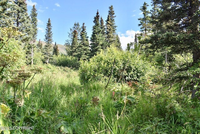 L3AB6V View Heights Way, Anchorage, AK 99516
