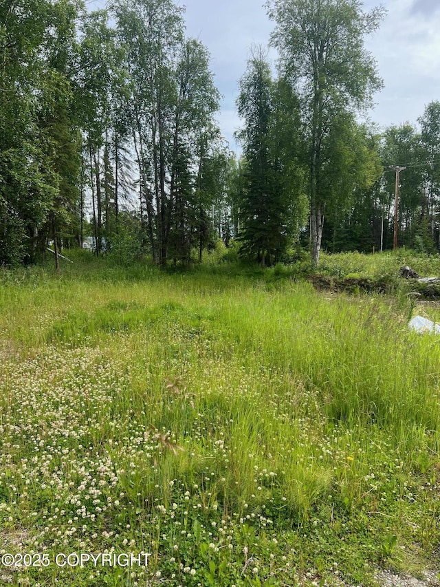 1140 N Brass Ring Dr, Wasilla, AK 99623 - photo 16