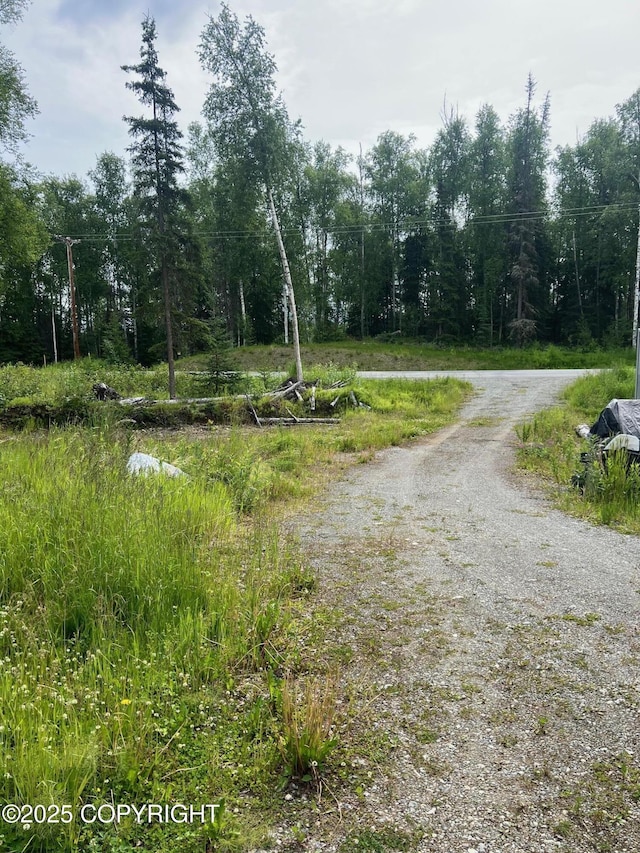 1140 N Brass Ring Dr, Wasilla, AK 99623 - photo 17