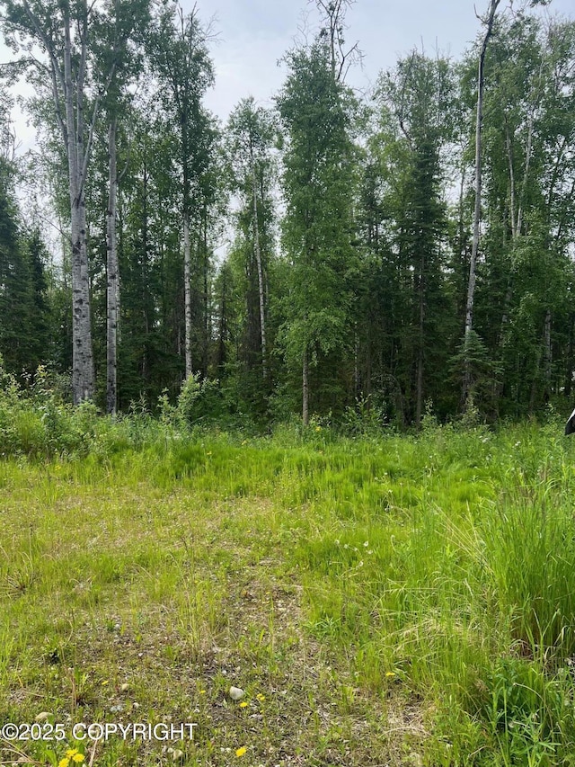 1140 N Brass Ring Dr, Wasilla, AK 99623 - photo 18