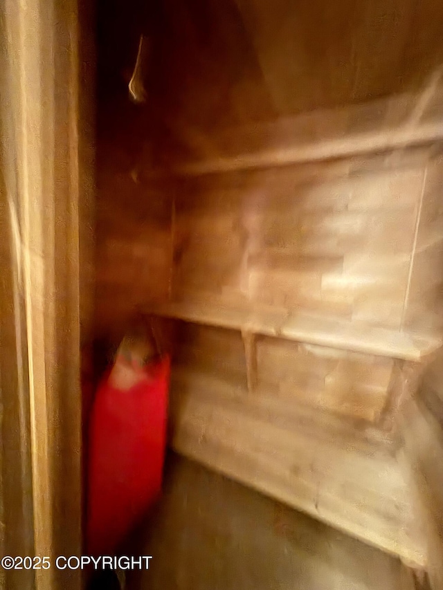 8204 E 17th Ave, Anchorage, AK 99504 - view of relaxing sauna
