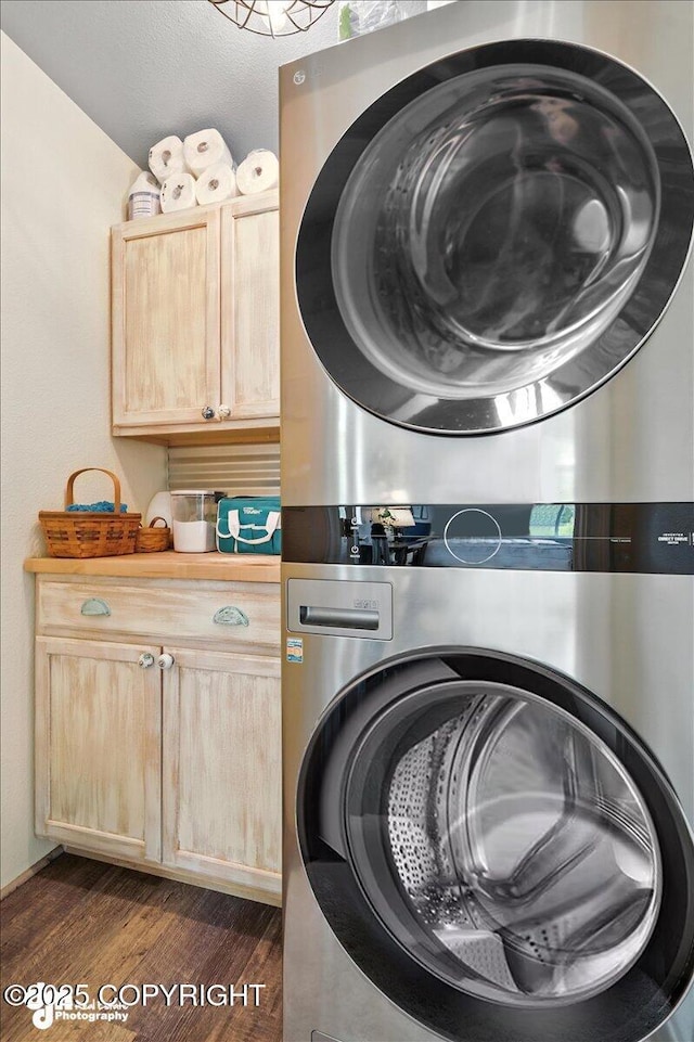 16720 E Maud Rd, Palmer, AK 99645 - laundry area with stacked washer / dryer, cabinet space, and dark wood-type flooring