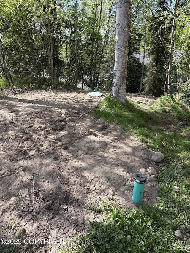 19235 Second St, Eagle River, AK 99577 - photo 13