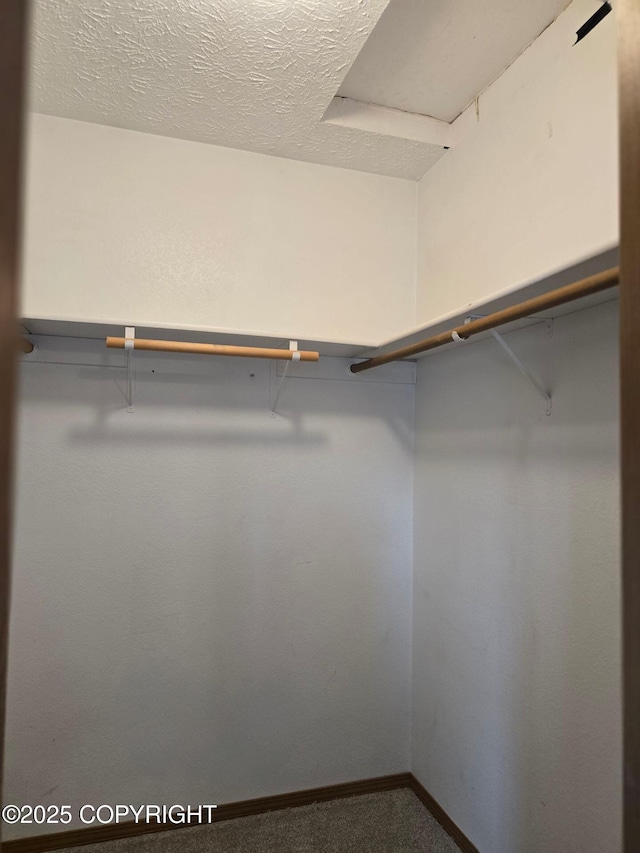 1120 China Berry Cir, Anchorage, AK 99515 - spacious closet featuring carpet floors