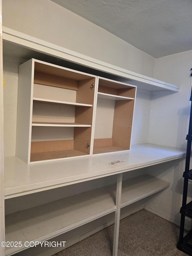 1120 China Berry Cir, Anchorage, AK 99515 - view of closet