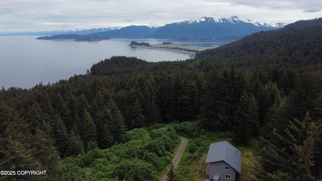 2008 Bickford Cir, Seldovia, AK 99663 - bird's eye view of a forest and a water and mountain view