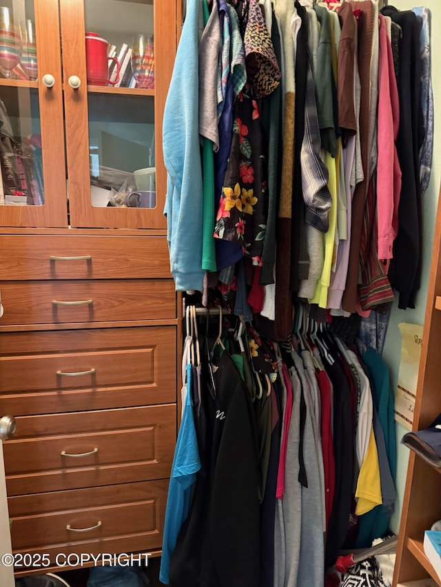 2008 Bickford Cir, Seldovia, AK 99663 - view of spacious closet